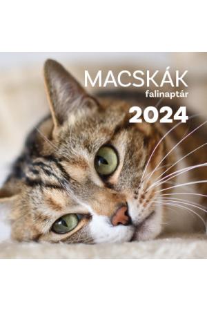 Macskák falinaptár 2024
