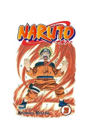 Naruto 26.: Az elválás napja (manga)
