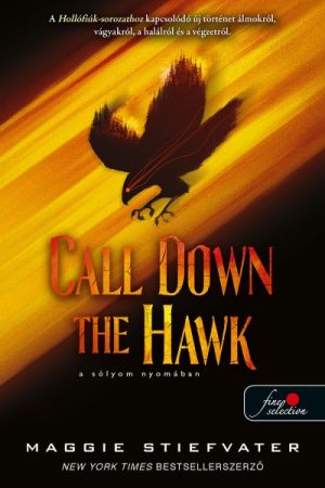 Call Down the Hawk - A sólyom nyomában - Álmodók-trilógia 1.
