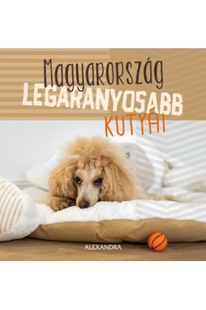 Magyarország legaranyosabb kutyái - 365 gondolat